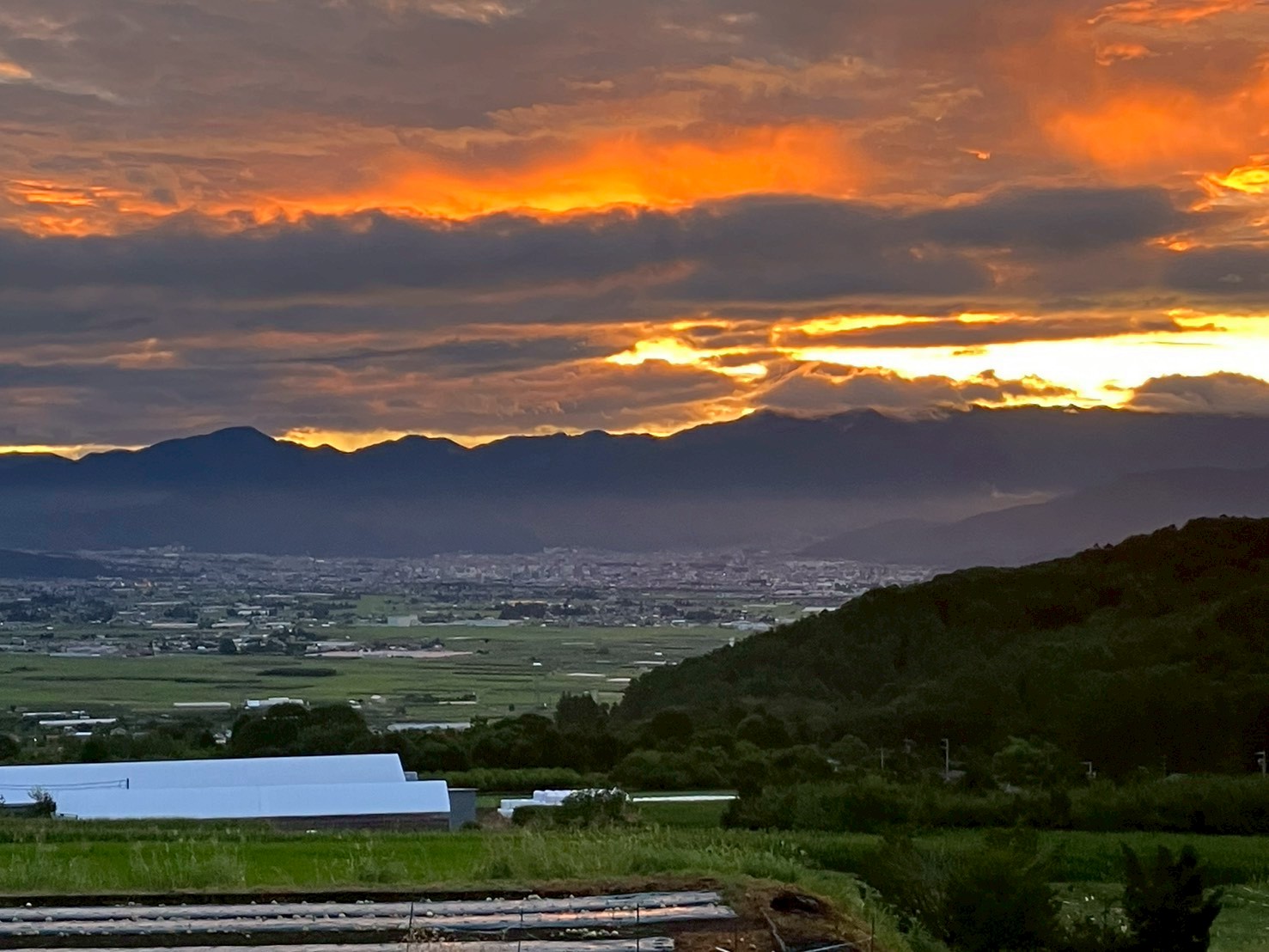 松本市波田の農地風景