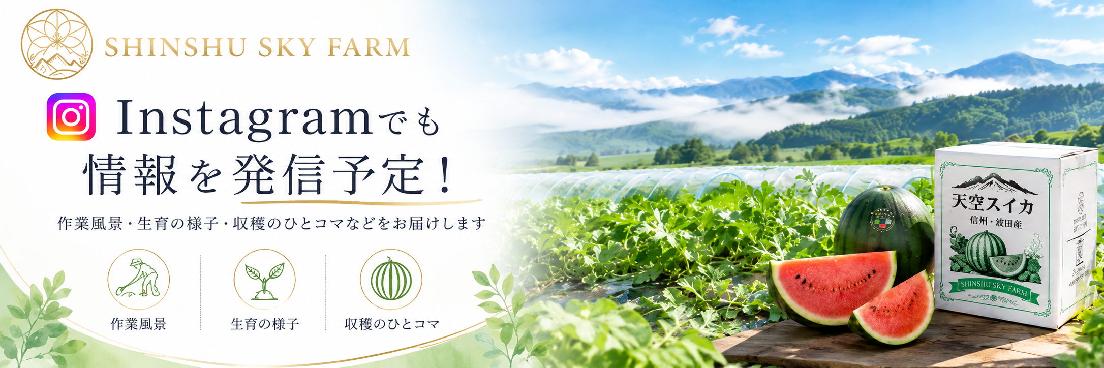 Instagram @shinshuskyfarm