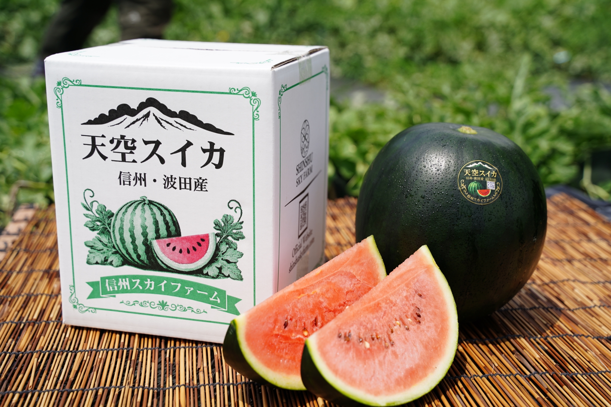 波田産スイカの返礼品イメージ